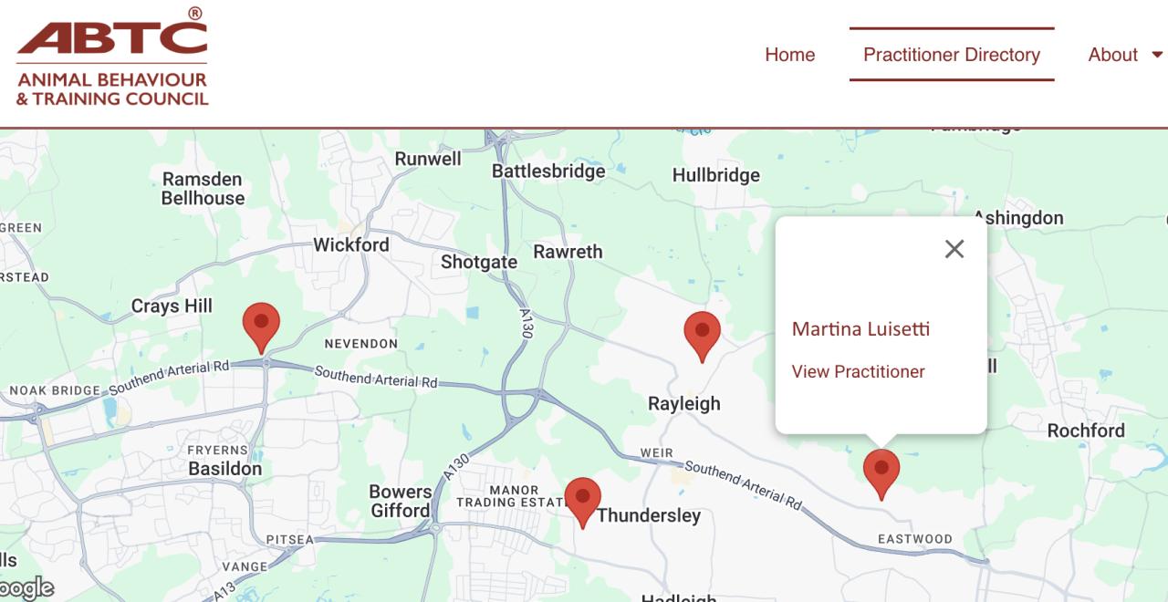 Martina Luisetti at Uli Dog Training is a specialist professional in reactivity, aggression, puppy training, agility, scentwork, recall, loose leash walking, anxiety and she is registered with / accredited by the Animal Behaviour and Training Council. She also is qualified by the Professional Association of Canine Trainers PACT and she is a designated separation anxiety pro. She is accredited by the United Kingdom Accreditation Service UKAS through the ABTC.